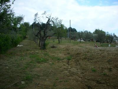 TERRENO EDIFICABILE VENDITA CORCIANO