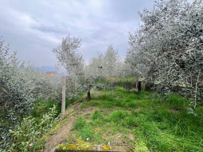 TERRENO EDIFICABILE VENDITA CITTÀ DELLA PIEVE FONTIGNANO
