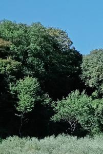 TERRENO VENDITA SPOLETO