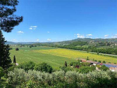 4 O PIÙ LOCALI AFFITTO CORCIANO MIGIANA