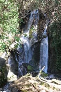 TERRENO AGRICOLO VENDITA FOLIGNO