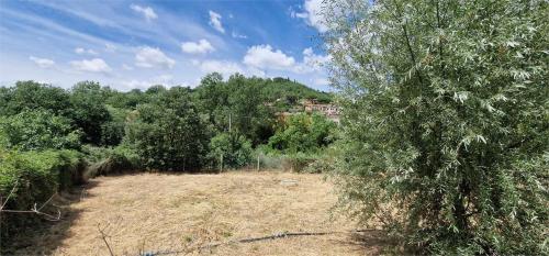 TERRENO AGRICOLO VENDITA PERUGIA