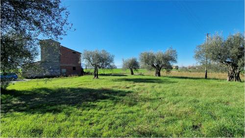 TERRENO EDIFICABILE VENDITA MAGIONE