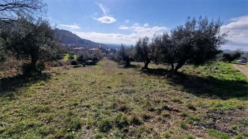 TERRENO AGRICOLO VENDITA PERUGIA OLMO