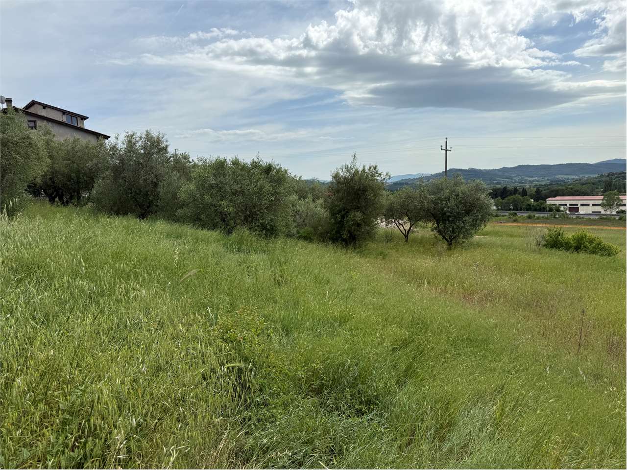 TERRENO EDIFICABILE VENDITA CORCIANO