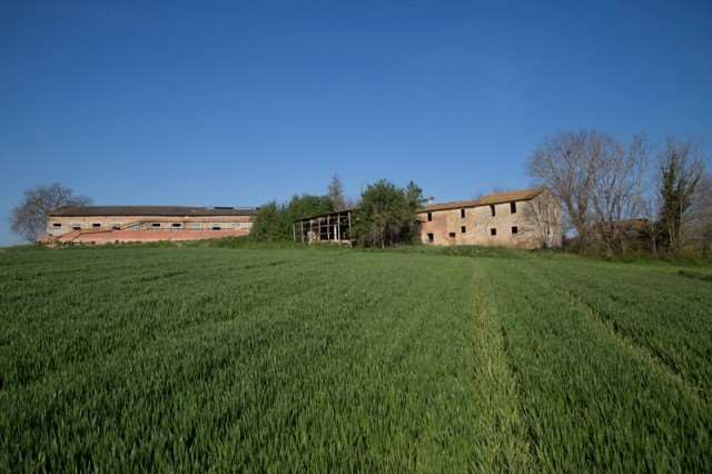RUSTICO - CASALE VENDITA MARSCIANO VILLANOVA