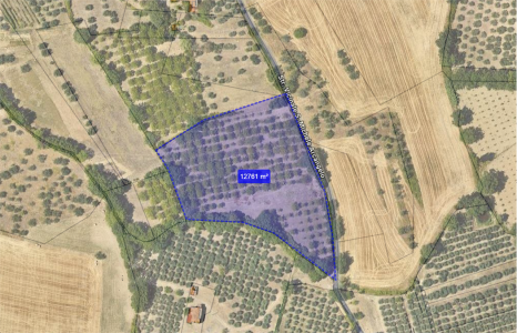 TERRENO AGRICOLO VENDITA PERUGIA MONTELUCE