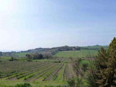 TERRENO AGRICOLO VENDITA PERUGIA