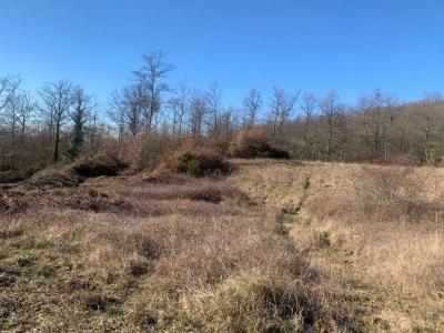 TERRENO AGRICOLO VENDITA UMBERTIDE