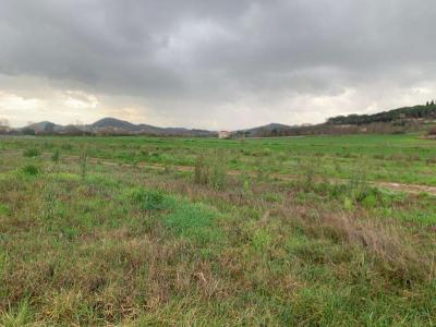 TERRENO AGRICOLO VENDITA CORCIANO TERRIOLI