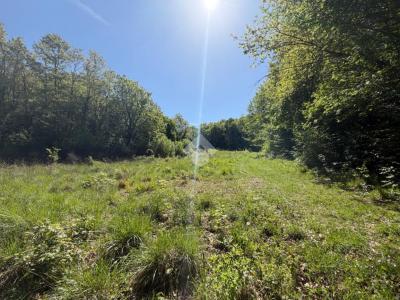 TERRENO AGRICOLO VENDITA ACQUASPARTA MACERINO