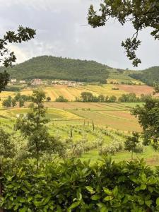 TERRENO EDIFICABILE VENDITA MAGIONE