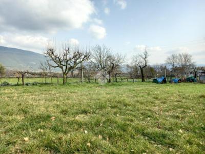 TERRENO EDIFICABILE VENDITA MASSA MARTANA