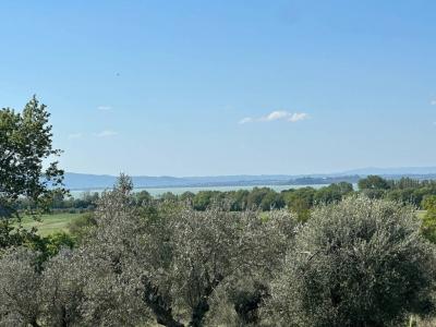 TERRENO AGRICOLO VENDITA TUORO SUL TRASIMENO