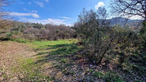 TERRENO AGRICOLO VENDITA PERUGIA OLMO