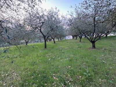 TERRENO EDIFICABILE VENDITA PERUGIA OLMO