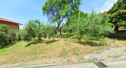 TERRENO EDIFICABILE VENDITA PASSIGNANO SUL TRASIMENO