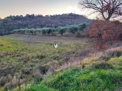 TERRENO AGRICOLO VENDITA PERUGIA PONTE FELCINO