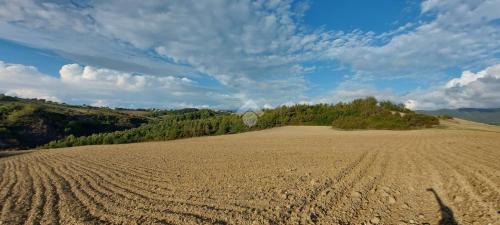 TERRENO AGRICOLO VENDITA MONTECASTRILLI