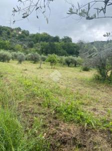 TERRENO EDIFICABILE VENDITA TERNI CESURE VALENZA