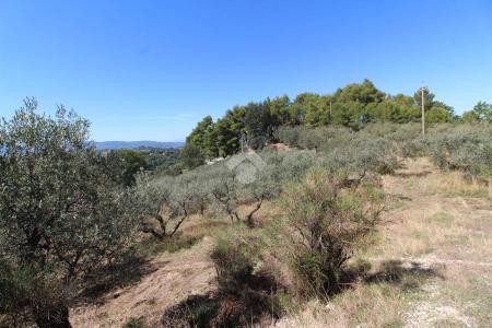 RUSTICO - CASALE VENDITA TERNI VALENZA