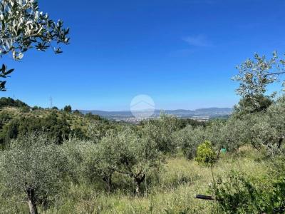 TERRENO AGRICOLO VENDITA TERNI SAN LIBERATORE
