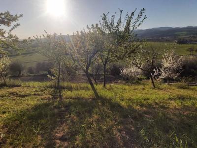 TERRENO AGRICOLO VENDITA PERUGIA SAN MARCO