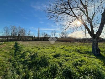 TERRENO AGRICOLO VENDITA ACQUASPARTA