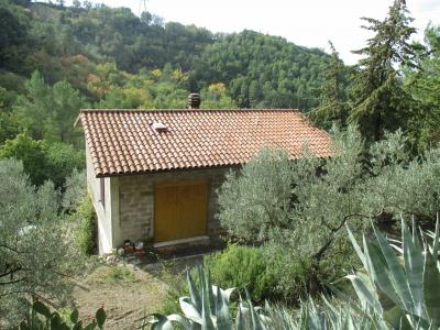 MAGAZZINO VENDITA TERNI COLLESTATTE