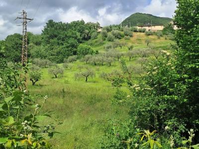 TERRENO AGRICOLO VENDITA SPOLETO