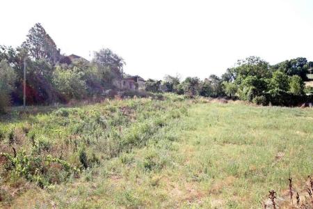 TERRENO AGRICOLO VENDITA STRONCONE