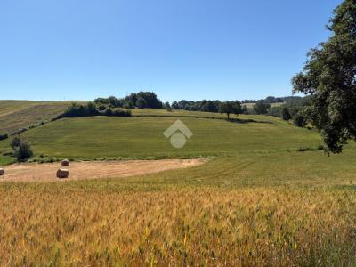 TERRENO AGRICOLO VENDITA MONTECASTRILLI
