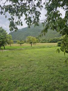 TERRENO EDIFICABILE VENDITA TERNI MARMORE