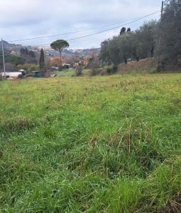 TERRENO EDIFICABILE VENDITA PERUGIA PONTE SAN GIOVANNI