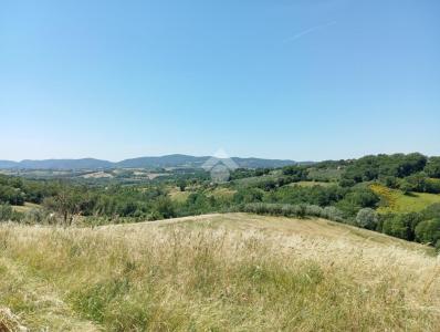 TERRENO AGRICOLO VENDITA SAN GEMINI