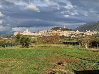 TERRENO EDIFICABILE VENDITA ASSISI SANTA MARIA DEGLI ANGELI