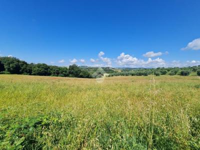 TERRENO AGRICOLO VENDITA NARNI