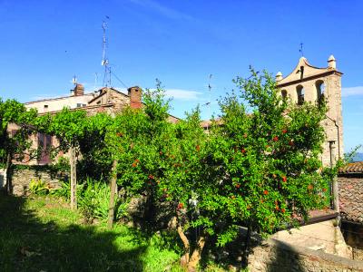 ATTICO VENDITA TODI