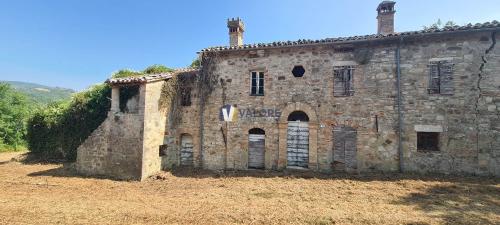 RUSTICO - CASALE VENDITA BASCHI