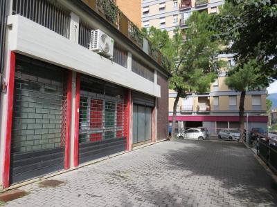 NEGOZIO VENDITA TERNI COSPEA 