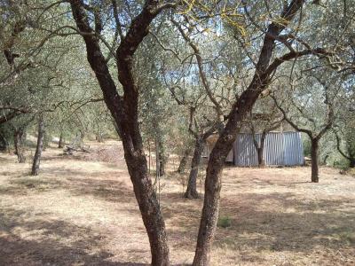 TERRENO EDIFICABILE VENDITA TERNI CAMPOMICCIOLO