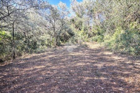 TERRENO EDIFICABILE VENDITA TERNI