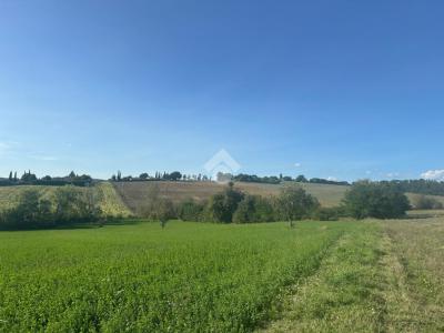 TERRENO AGRICOLO VENDITA MONTECASTRILLI