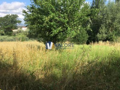 TERRENO AGRICOLO VENDITA ASSISI PALAZZO