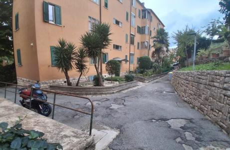 STANZA AFFITTO PERUGIA PALLOTTA
