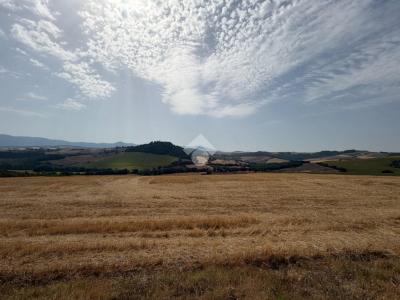 TERRENO AGRICOLO VENDITA ACQUASPARTA