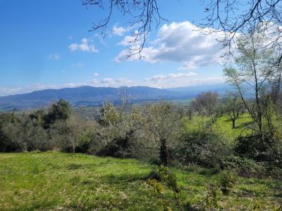 TERRENO EDIFICABILE VENDITA NARNI NARNI SCALO