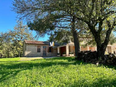 PORZIONE DI CASA VENDITA ASSISI