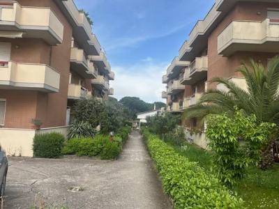 APPARTAMENTO VENDITA MARSCIANO