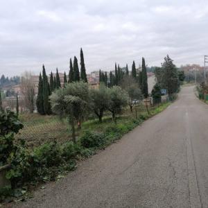 TERRENO EDIFICABILE VENDITA PERUGIA SAN FORTUNATO